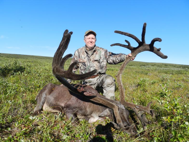 Caribou hunts alaska price