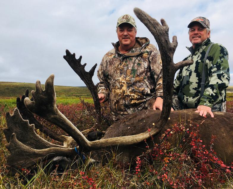 group caribou hunt