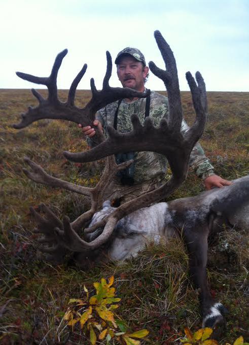 trophy barren ground caribou