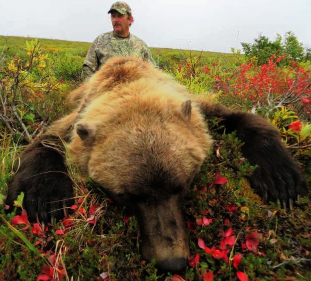 arctic grizzly hunting trip